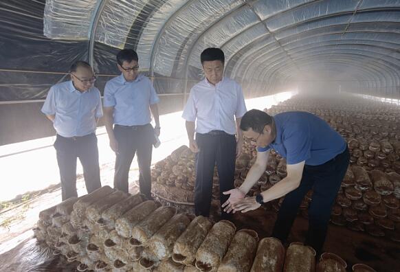 1693212840857276.jpg QQ截圖20230828161913.jpg