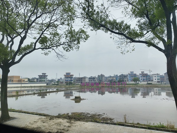 1719454799963751.jpg 1123fc2cfa75306e1303f6ba580fde1.jpg