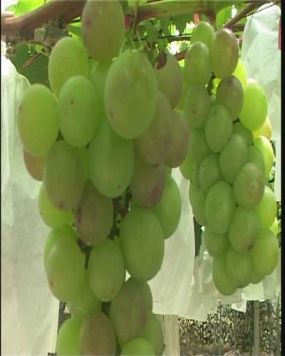 幸福工程“點亮幸福生活 2.jpg