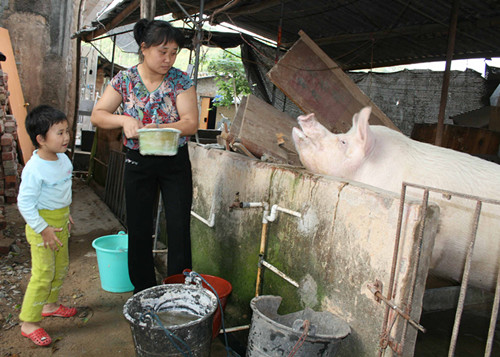 “把錢給最需要的貧困母親” ——福建省云霄縣“幸福工程”救助貧困母親735戶次_副本.jpg