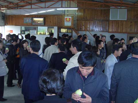 甘肅省計生協會參觀長泰縣先進脫貧母親戴福蘭芭樂種植情況 2.jpg