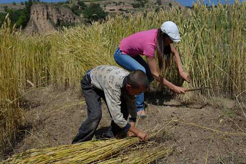 幸福工程扶貧西部行之三_馬艷麗探望同姓貧困母親 14.jpg