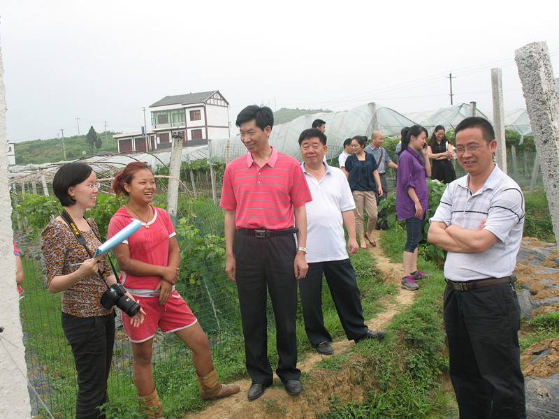 照片 081_副本.jpg