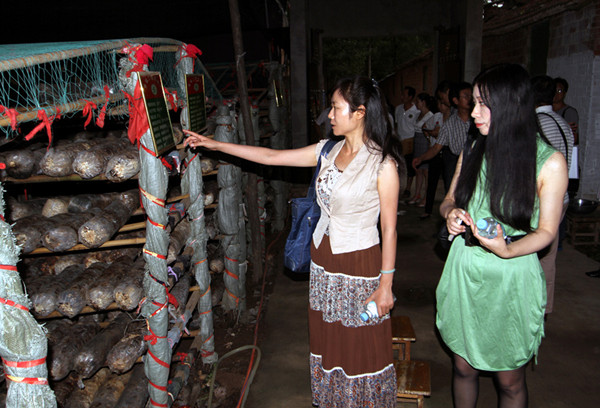 走访幸福工程香菇种植基地