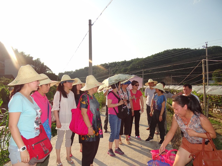 中央国家机关代表赴沙县南阳乡旺农专业合作社调研