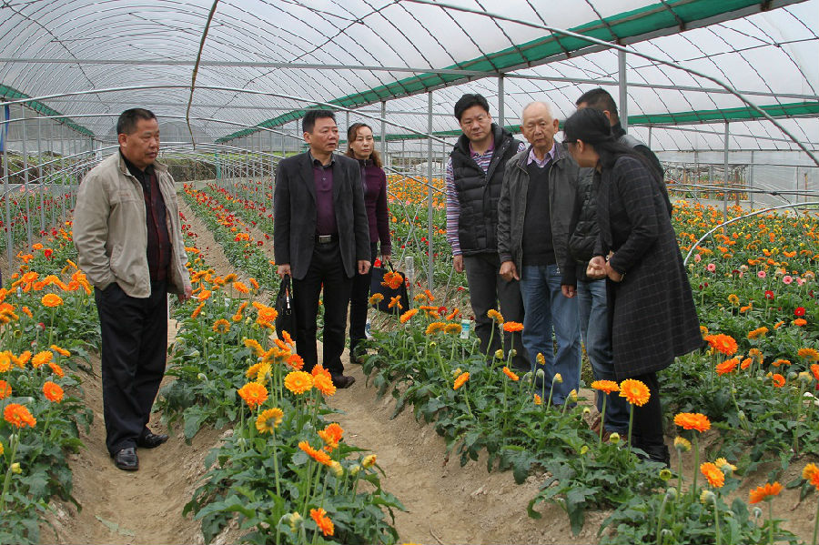 陈光普常务副会长到元山村花卉种植基地考察.jpg