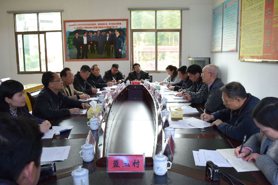 省市计生协领导在大田县桃源鎮兰玉村与县乡村干部谈