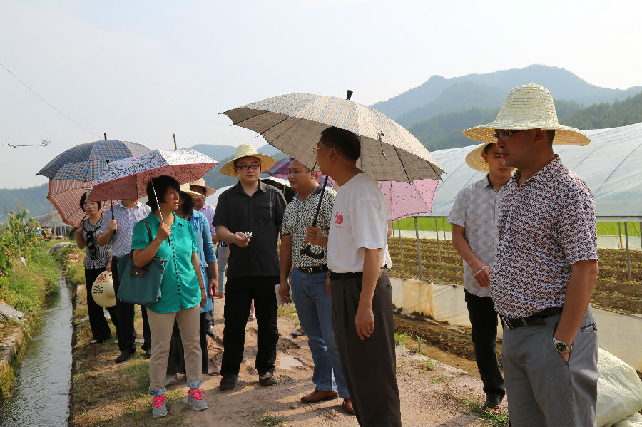 考察组一行在受灾项目点元山村花卉基地听取灾情介绍
