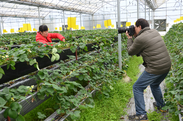 1456641955852459.jpg 1456641955852459.jpg