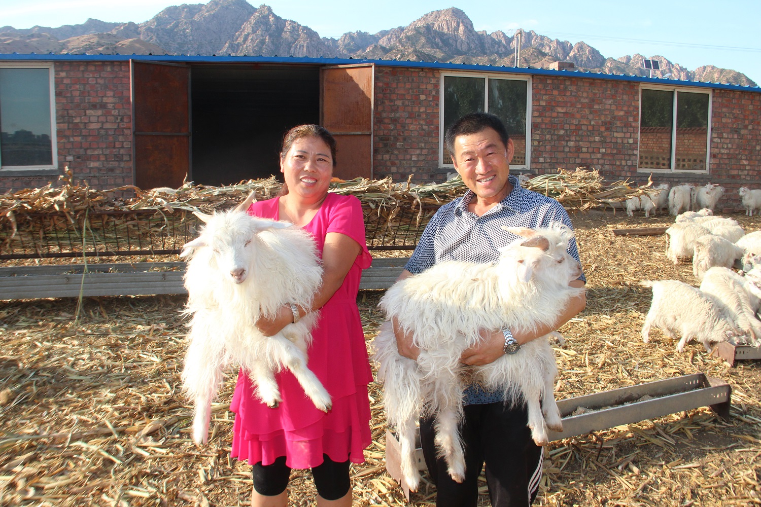 1461900711112166.jpg 1461900711112166.jpg