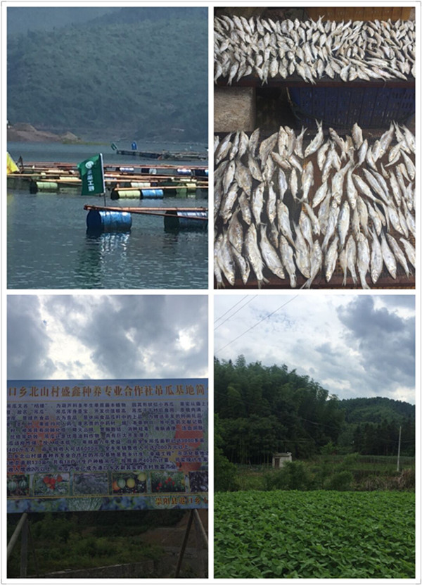 1464833882866487.jpg QQ圖片20160602100631_副本.jpg