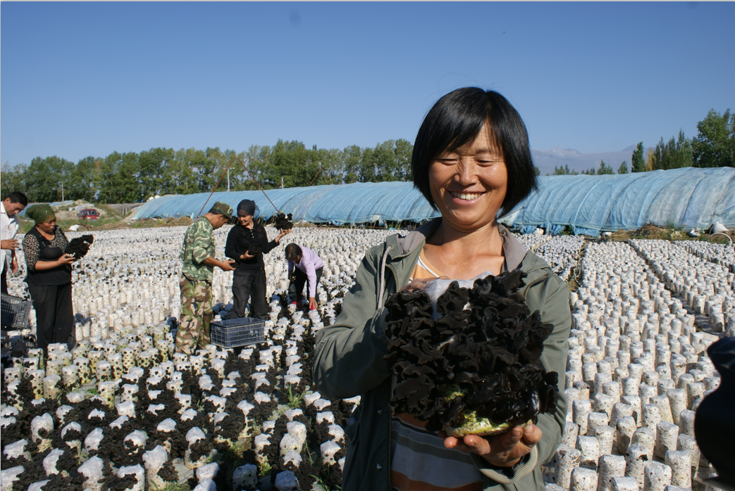 1467193803658902.png 1467193803658902.png