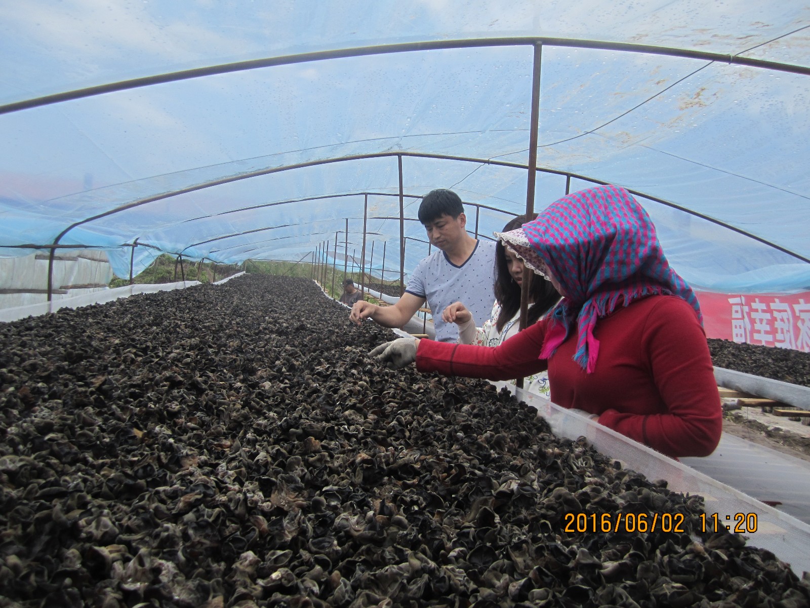 1473667453534798.jpg 1473667453534798.jpg