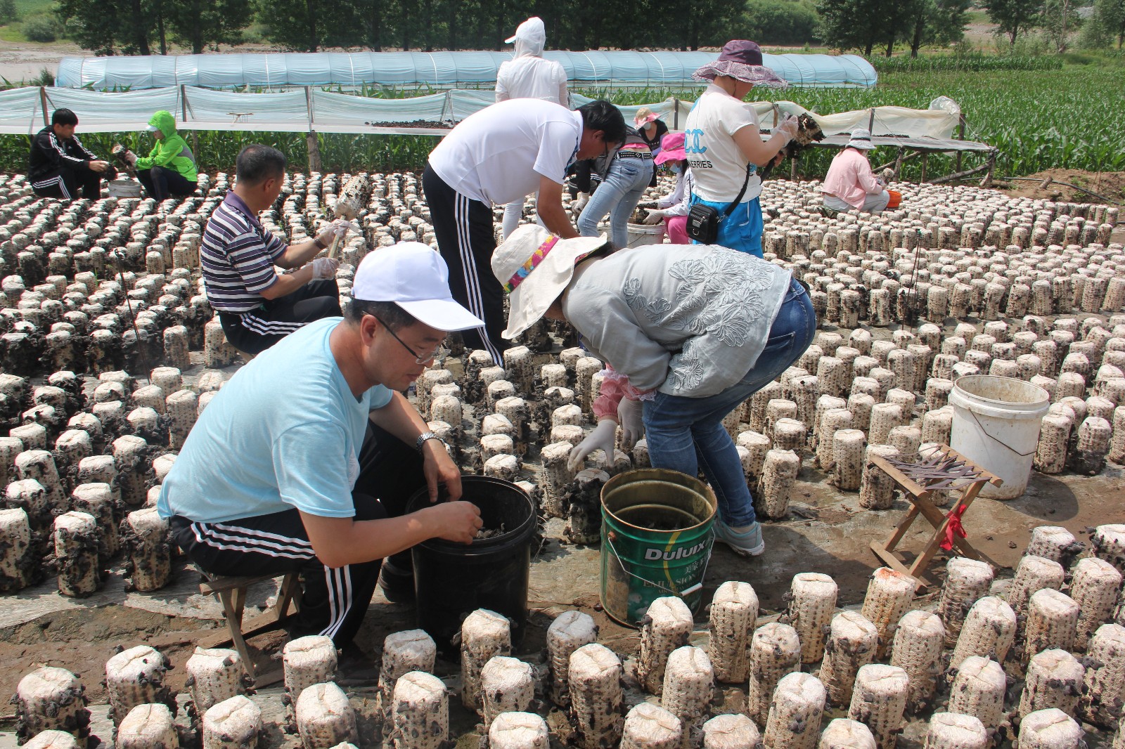 1473667455909347.jpg 1473667455909347.jpg