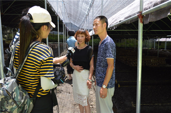 1481774558845316.jpg 致富帶頭人:沃豐野食用菌農(nóng)民專業(yè)合作社負責人黃妹香夫婦.jpg