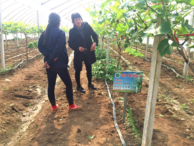 新建文件夾 (3)IMG_1830.JPG