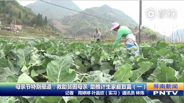 1494924230813558.jpg 幸福母親風采錄,母親節特別報道.jpg