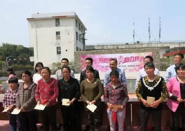 1495159699359573.jpg IMG_2084.JPG