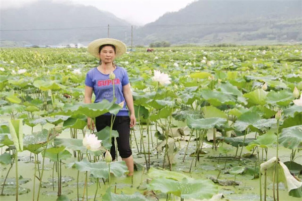 1499306102589449.jpg IMG_4967_副本.jpg