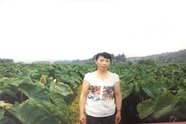 1499306520186413.jpg IMG_4972_副本.jpg