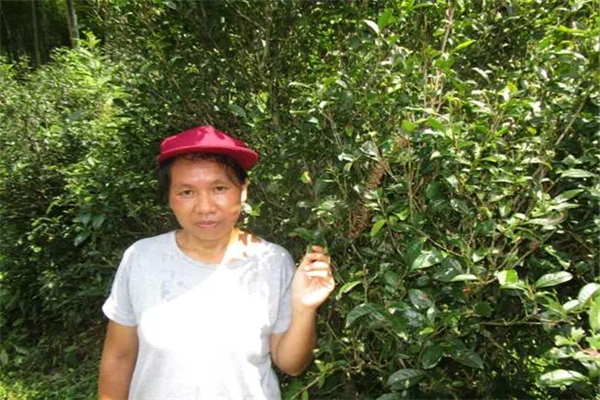 1499306615109163.png IMG_4973_副本.png