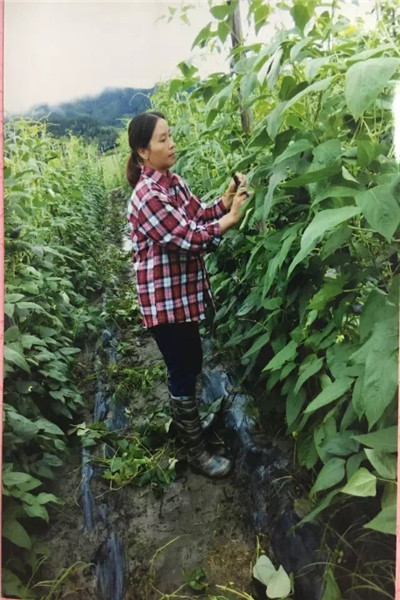 1499306669138114.jpg IMG_4974_副本.jpg