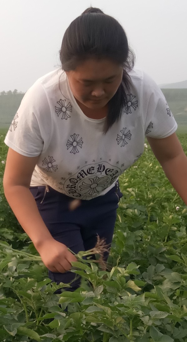 1500712154914683.jpg 1500712154914683.jpg