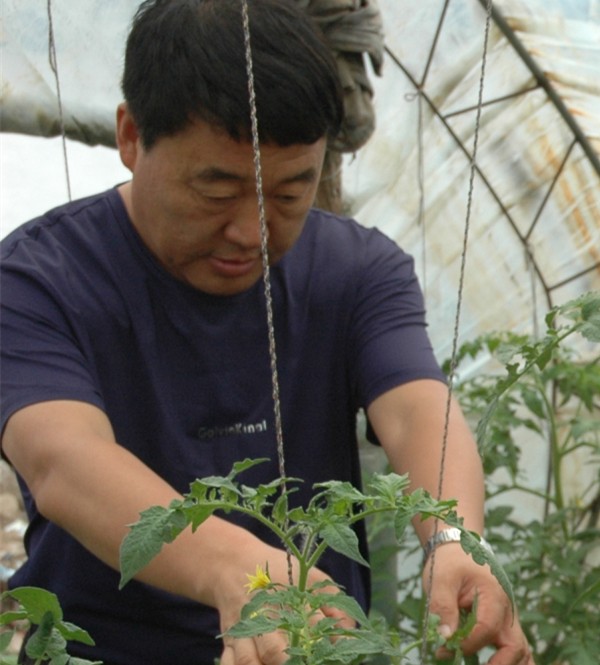 1500712155103646.jpg 1500712155103646.jpg