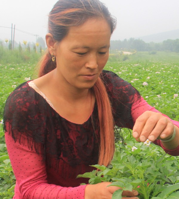 1500712155129654.jpg 1500712155129654.jpg