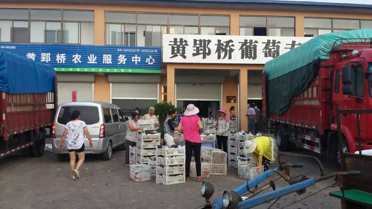 1500956598966278.jpg 1500956598966278.jpg