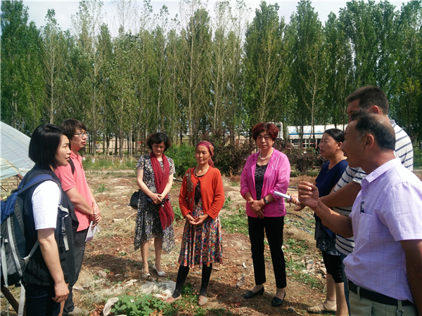 1500977946166533.jpg 77520867.jpg