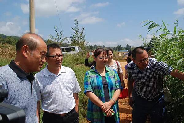 1501381472963395.jpg IMG_2582.JPG