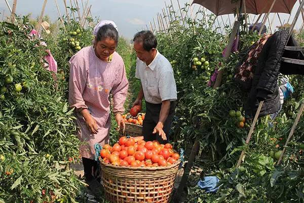 1501383215974669.jpg IMG_2593.JPG