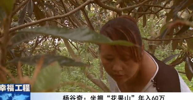 1501557034115777.png 2.png