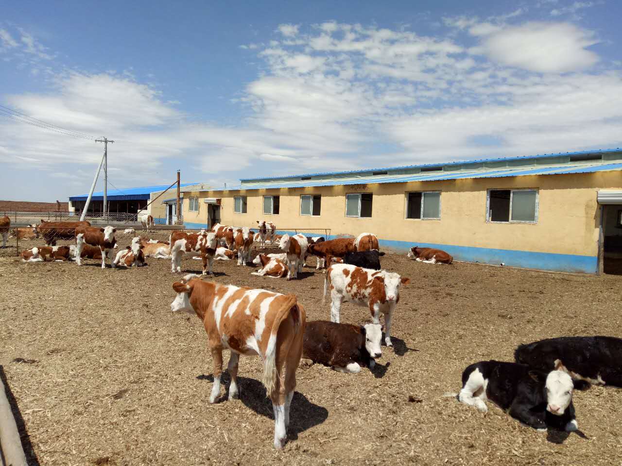 1501661236101438.jpg 微信圖片_20170802131617.jpg