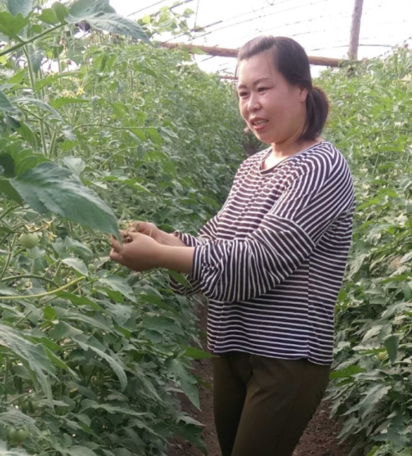 1504512412401056.jpg IMG_20170718_172410_comps_副本.jpg