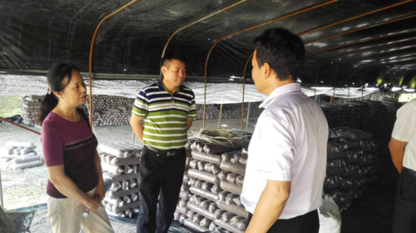 1504512915902849.bmp 1.1.bmp