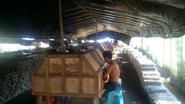 1504514396102058.bmp 3.1.bmp