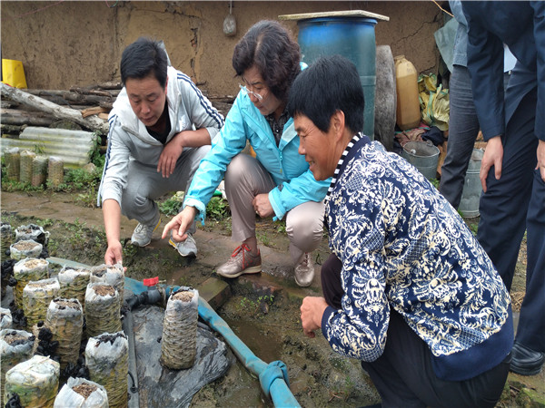 1504667322136625.jpg 郝林娜理事長在詢問木耳養(yǎng)殖事宜.jpg