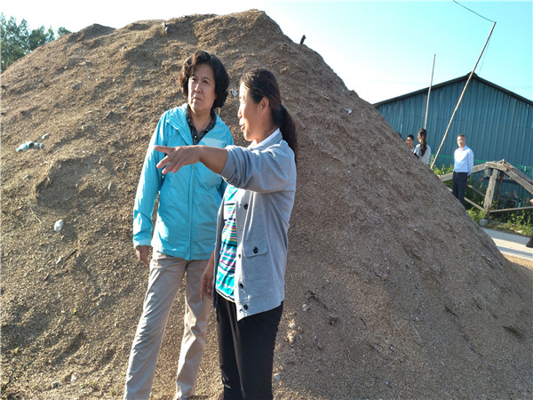 1504667366113616.jpg 郝林娜理事長與受助母親嚴秀芝在滑子菇培養(yǎng)用木屑堆前了解種植情況.jpg