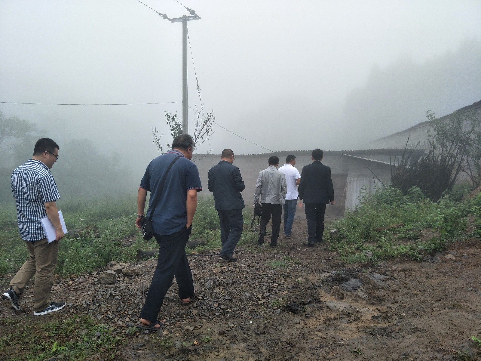 1504856950257287.jpg 1504856950257287.jpg