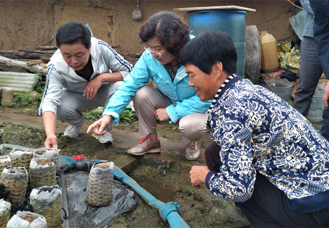 1504864283162574.jpg 郝林娜理事長在詢問木耳養殖事宜_副本.jpg