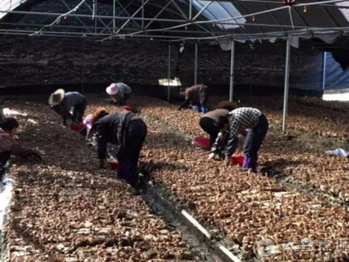 1508040480268948.jpg IMG_0201.JPG