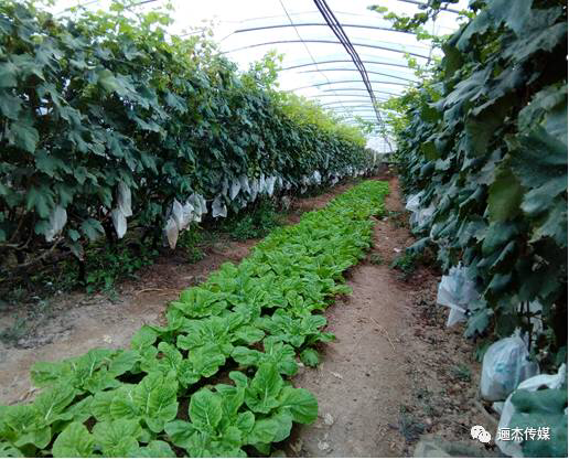 1508582500127193.png IMG_0219.PNG