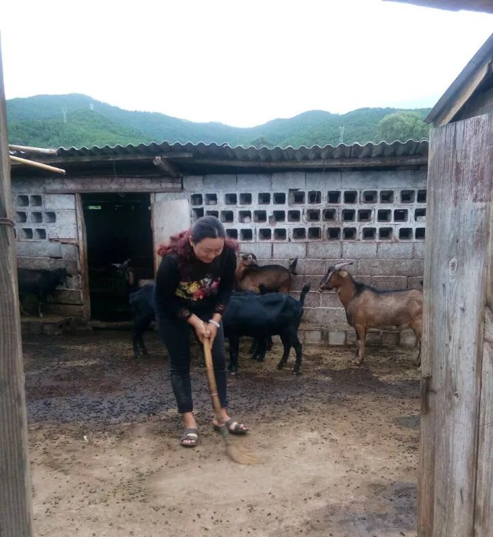 1508584087144931.png IMG_0220.PNG