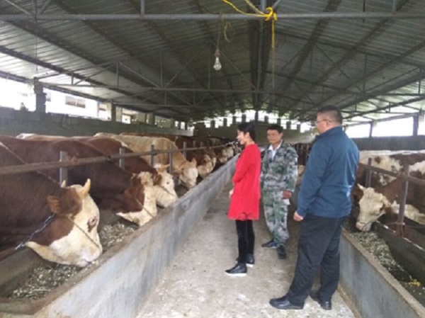 1510124588258621.jpg 1509957742576625.jpg