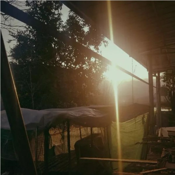 1516264324176559.jpg 巫溪4.1.jpg