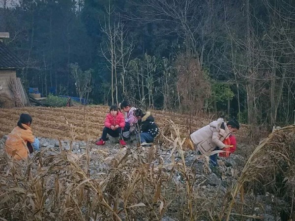 1516264590960813.jpg 巫溪5.1.jpg