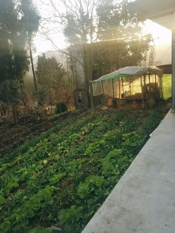 1516264676577056.jpg 巫溪6.1.jpg