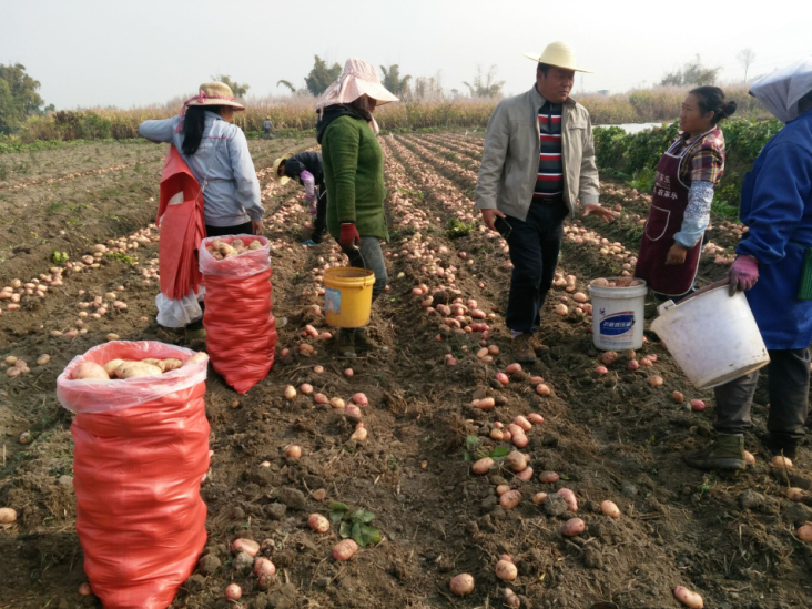 1518422273127572.png 1.png